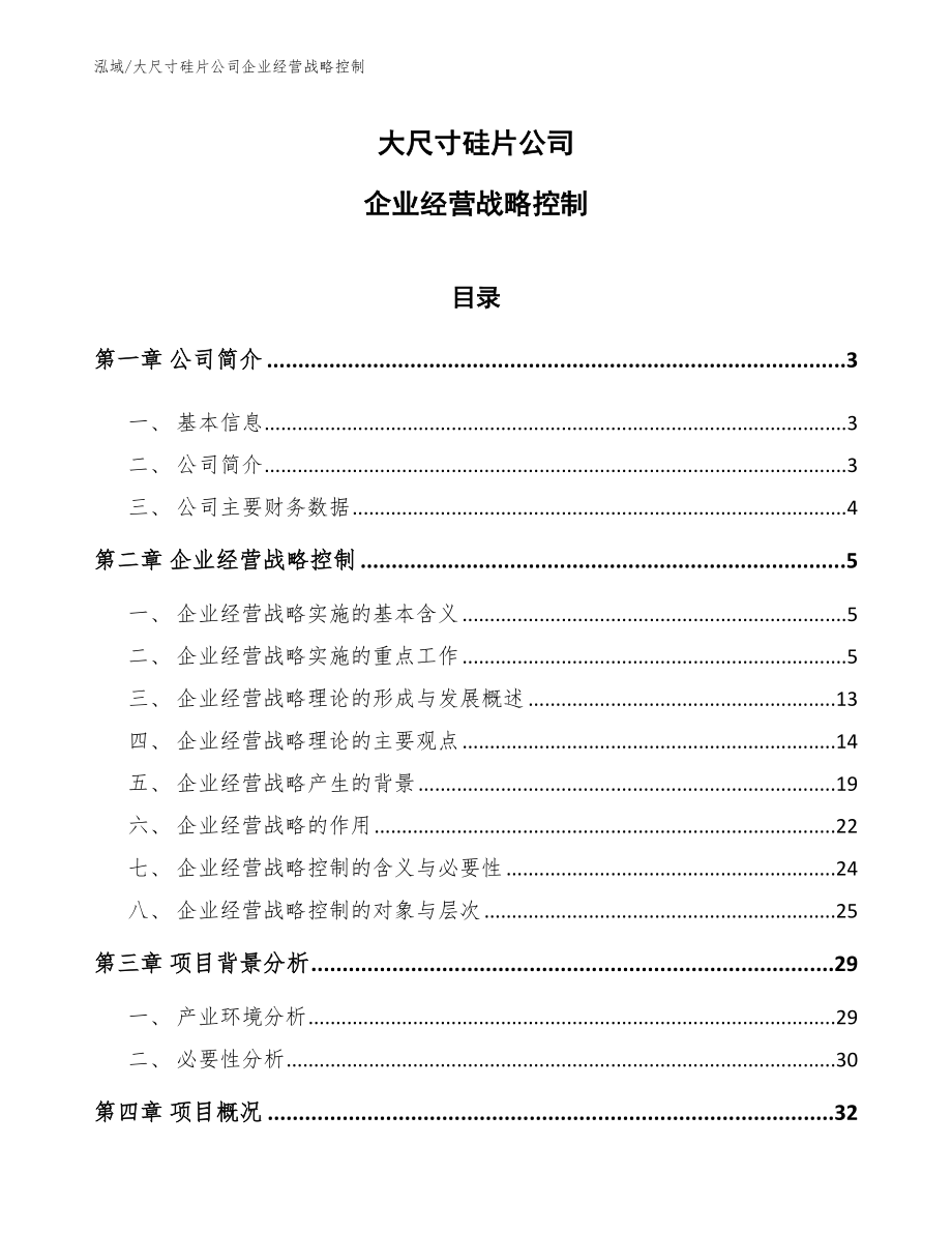 大尺寸硅片公司企业经营战略控制【参考】_第1页