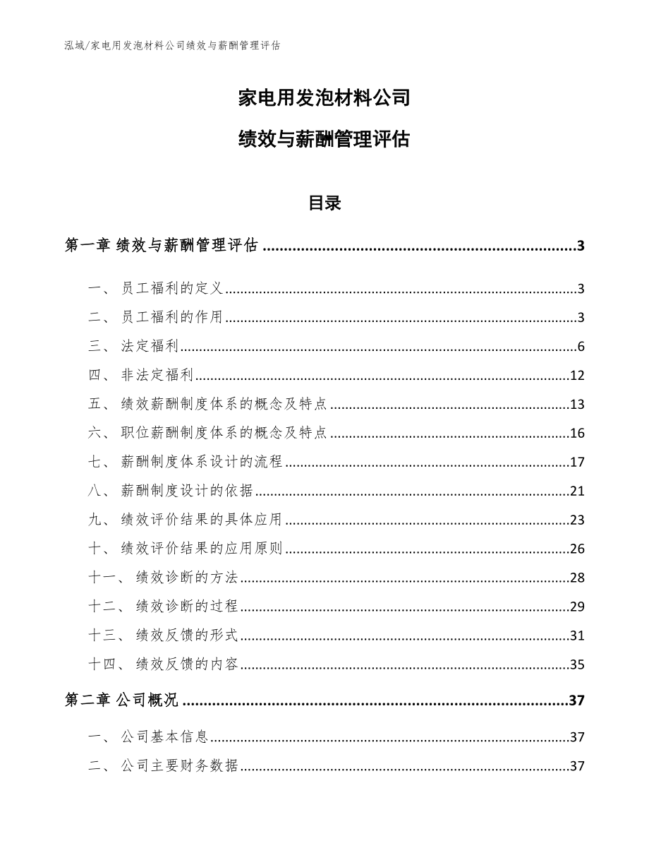 家电用发泡材料公司绩效与薪酬管理评估（范文）_第1页