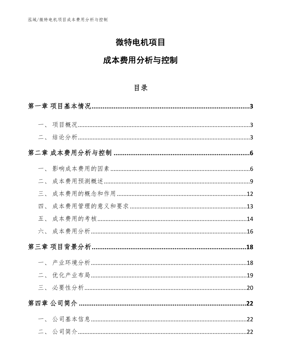 微特电机项目成本费用分析与控制_第1页