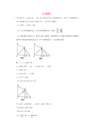 2020年中考數(shù)學二輪復習 壓軸專題 三角形（含解析）