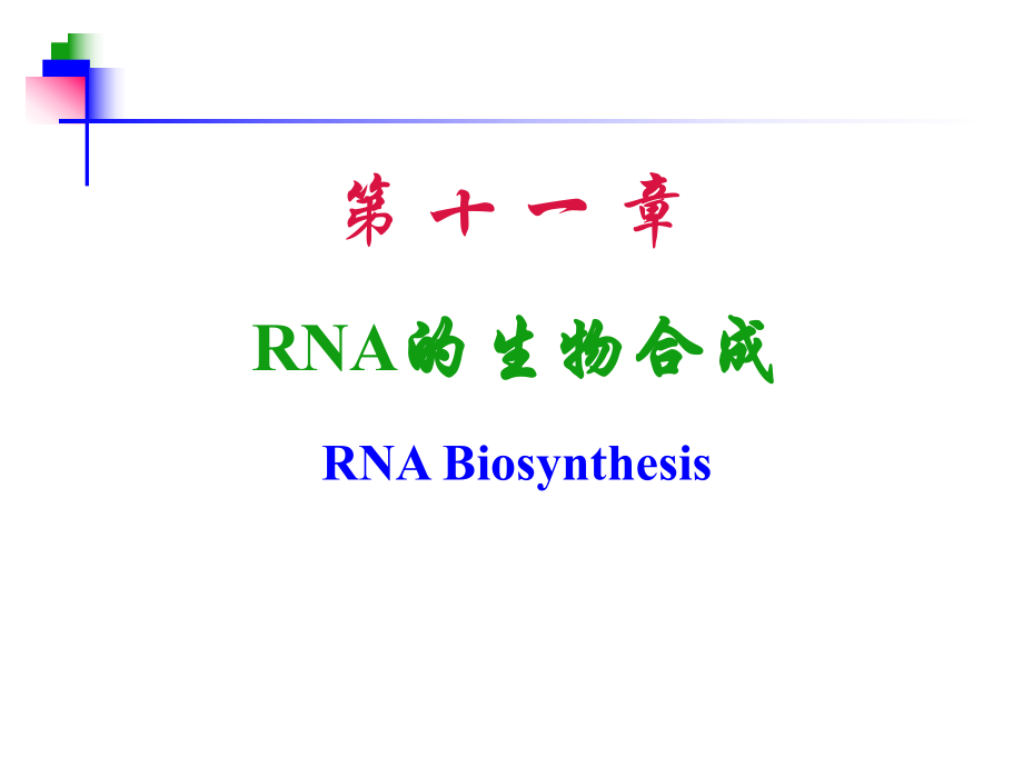 第11章 RNA的生物合成 转录_第1页