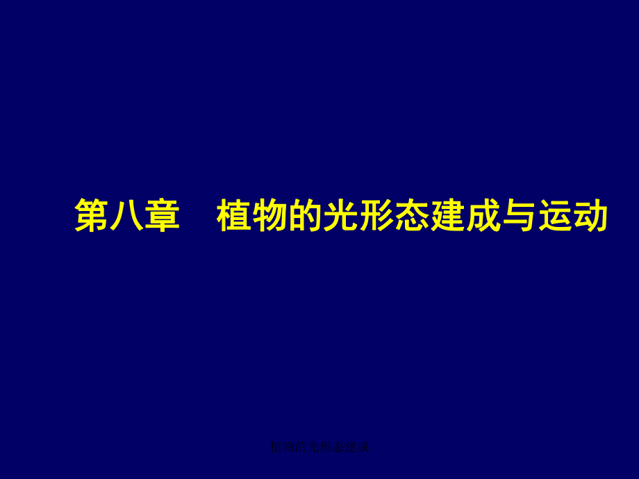 植物的光形态建成课件_第1页