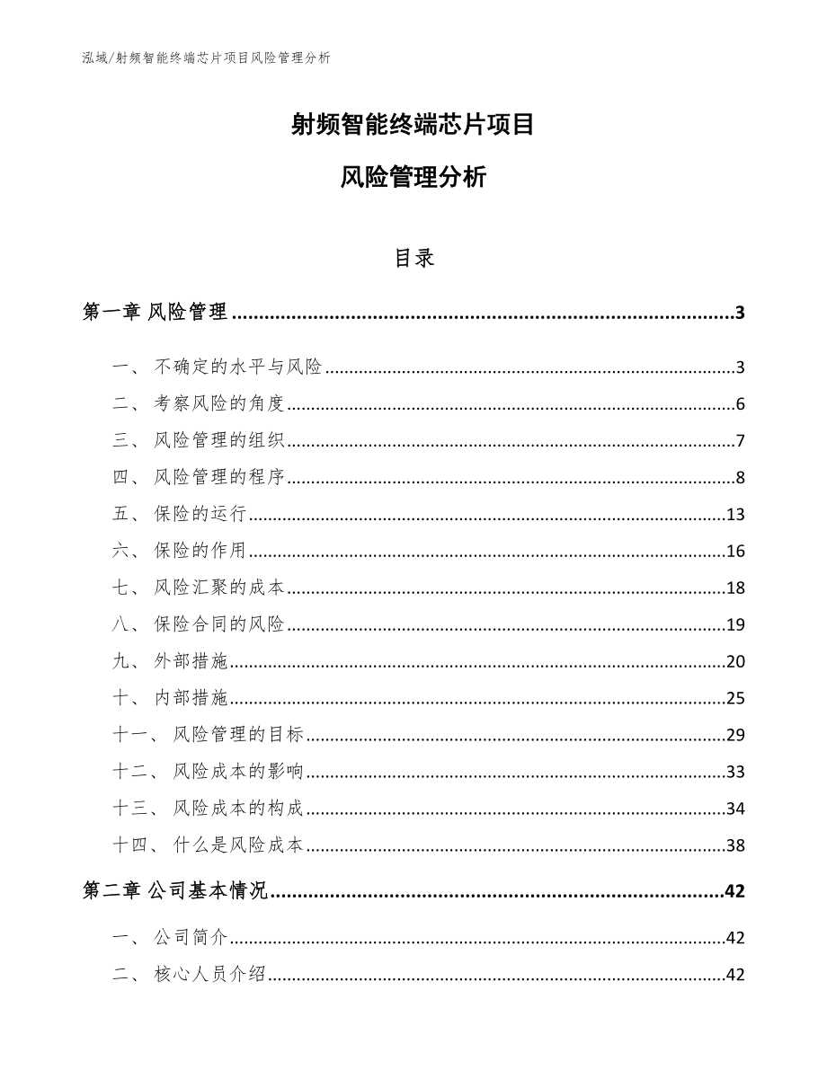 射频智能终端芯片项目风险管理分析_第1页