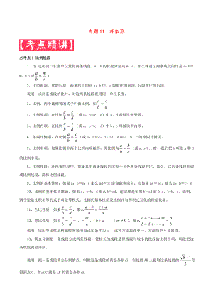 2020年中考數(shù)學(xué)基礎(chǔ)題型提分講練 專題11 相似形（含解析）