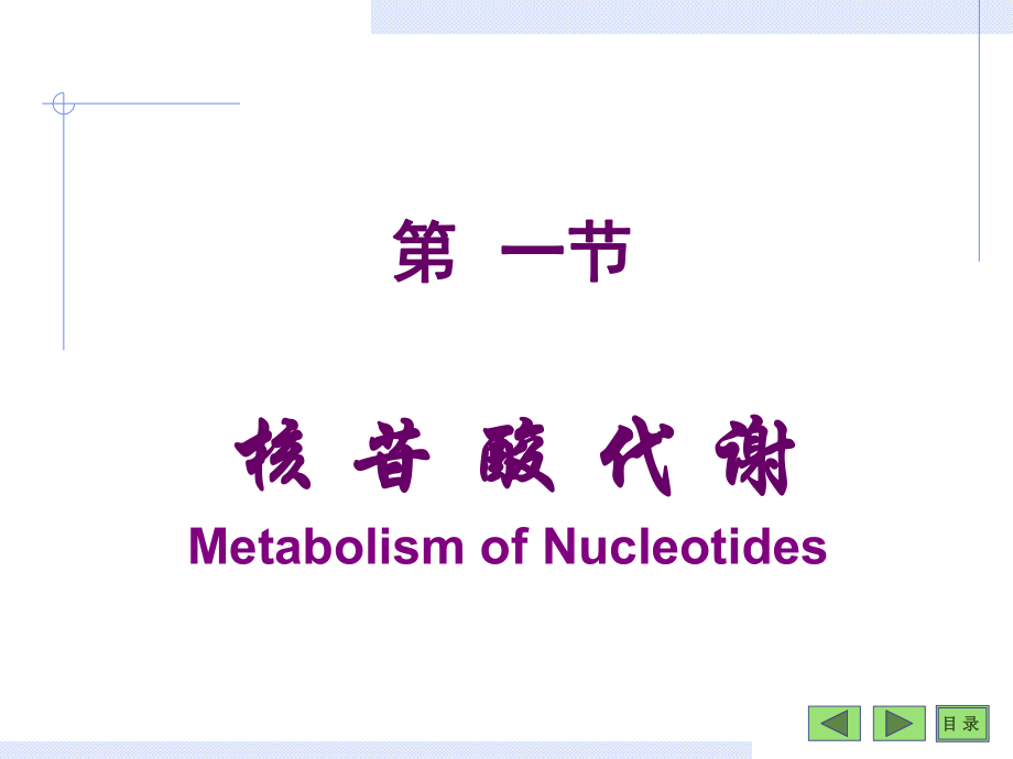 第10章核苷酸及遗传信息的储存_第1页