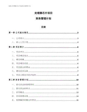 处理器芯片项目财务管理计划