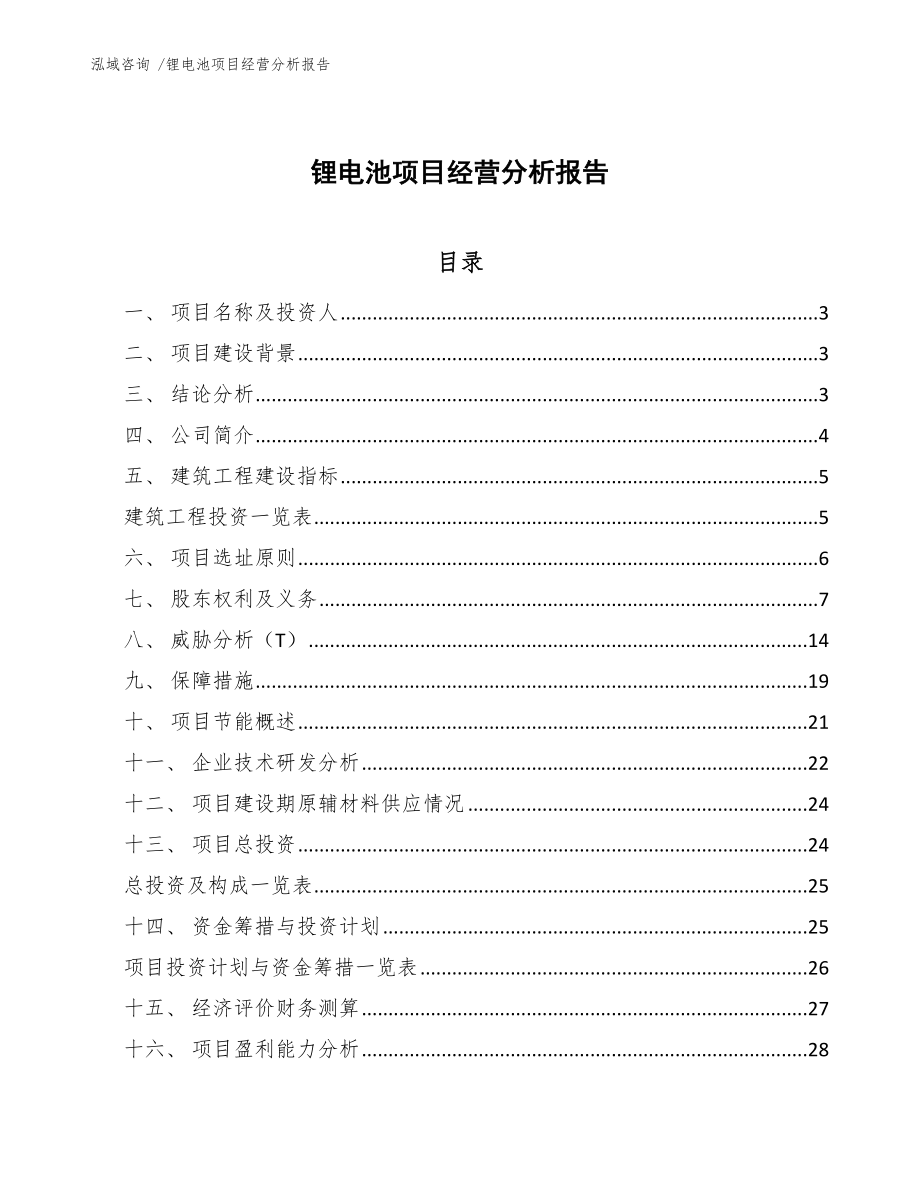 锂电池项目经营分析报告_第1页