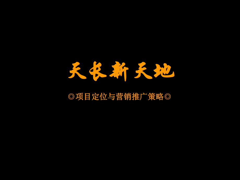 江苏天长市新天地项目定位与营销推广策略 85页_第1页