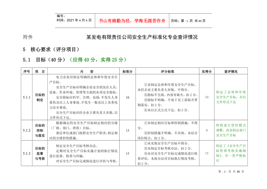 某发电有限责任公司安全生产标准化专业查评情况(表)_第1页