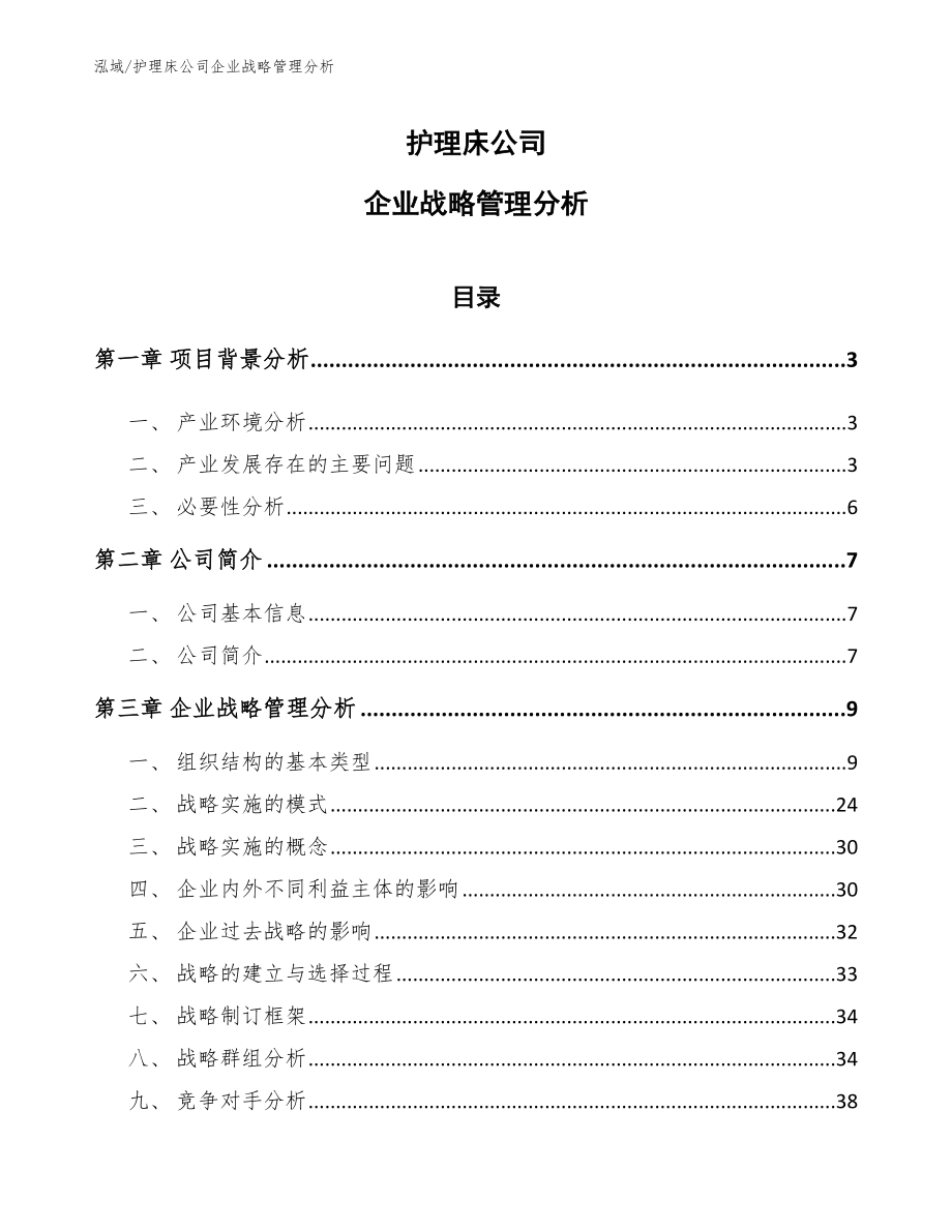 护理床公司企业战略管理分析_第1页