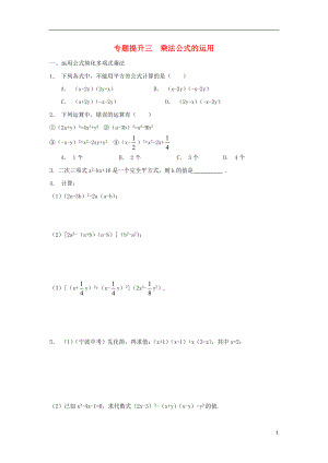 七年級數(shù)學(xué)下冊 專題提升三 乘法公式的運(yùn)用校本作業(yè) （新版）浙教版