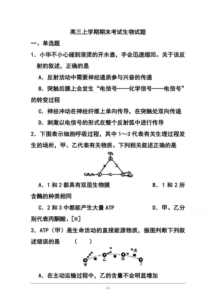 山东省滕州市第三中学高三上学期期末考试生物试题及答案_第1页