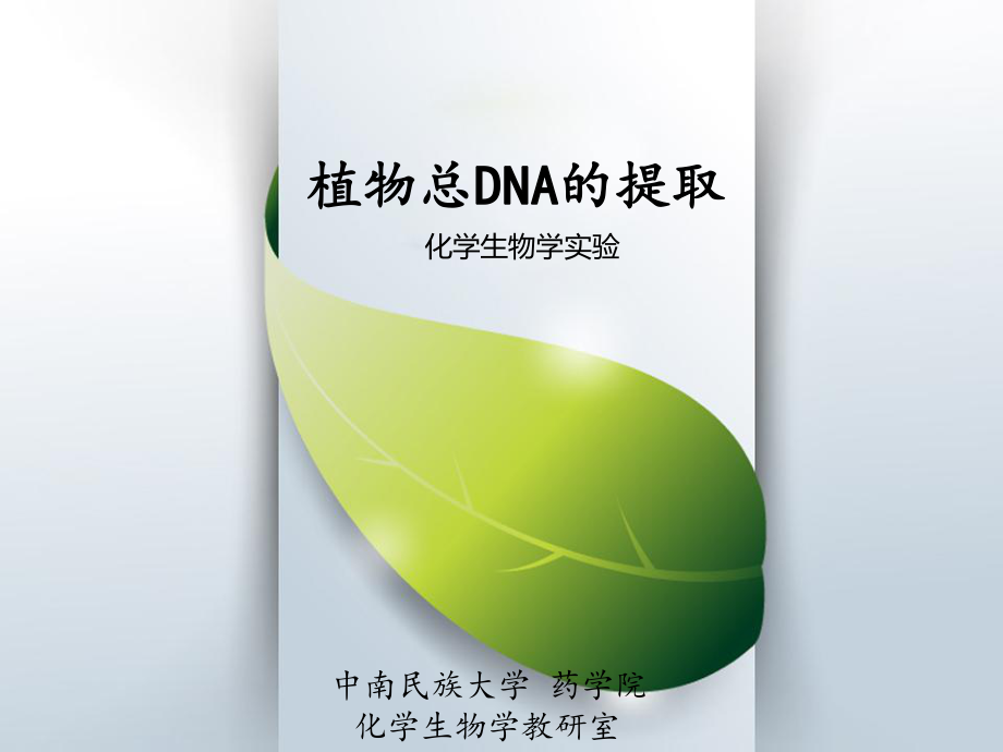 植物总DNA的提取_第1页