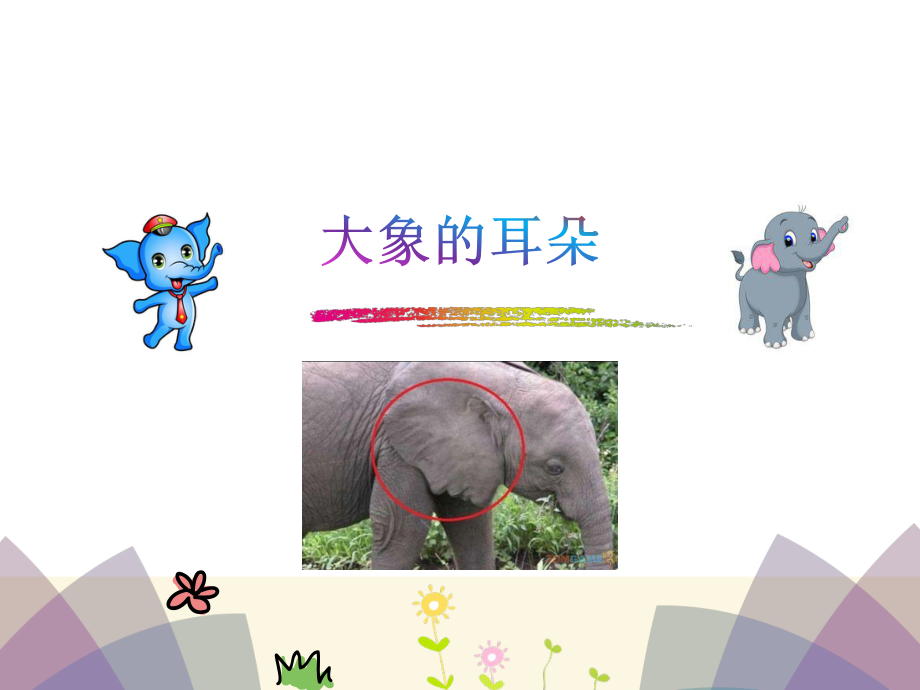 《大象的耳朵》课件_第1页