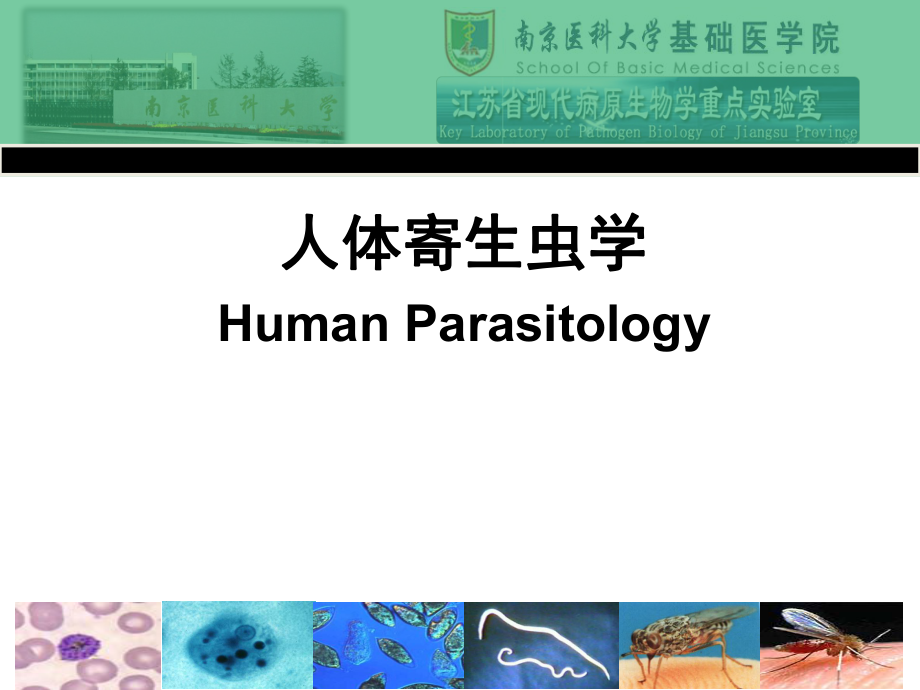 人体寄生虫学课件：1-总论_第1页