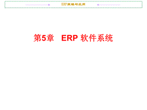 第5章ERP软件系统