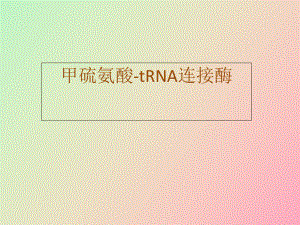 甲硫氨酰tRNA连接酶