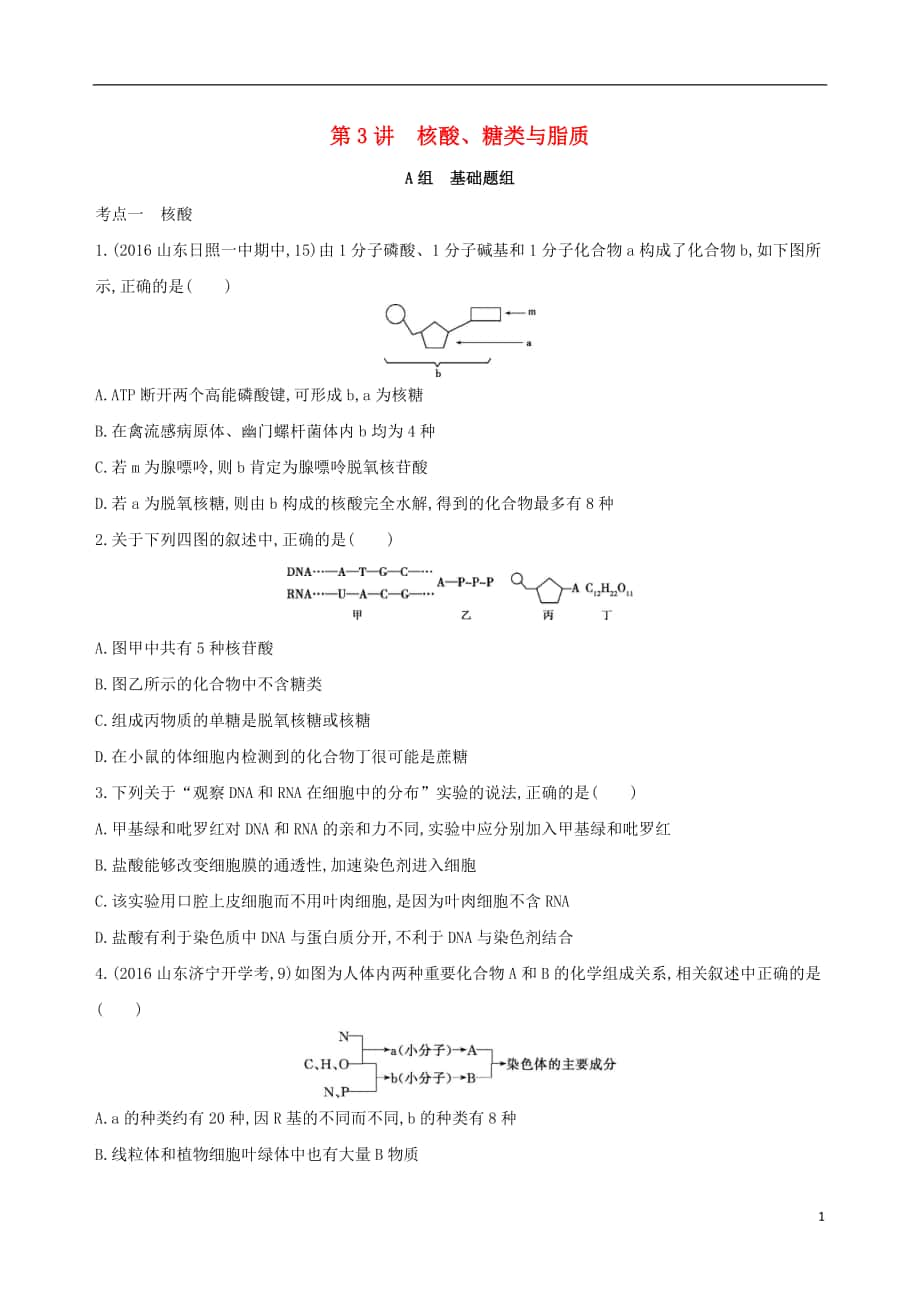 （新課標）2018高考生物一輪復習 分子與細胞 第1單元 細胞的分子組成 第3講 核酸、糖類與脂質夯基提能作業(yè)（必修1）_第1頁