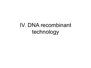 分子遗传学理论与技术基础 Chapter IV.DNA recombinant technologyPPT课件