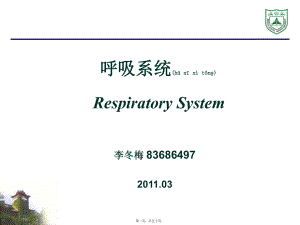 呼吸系统组织学5课件