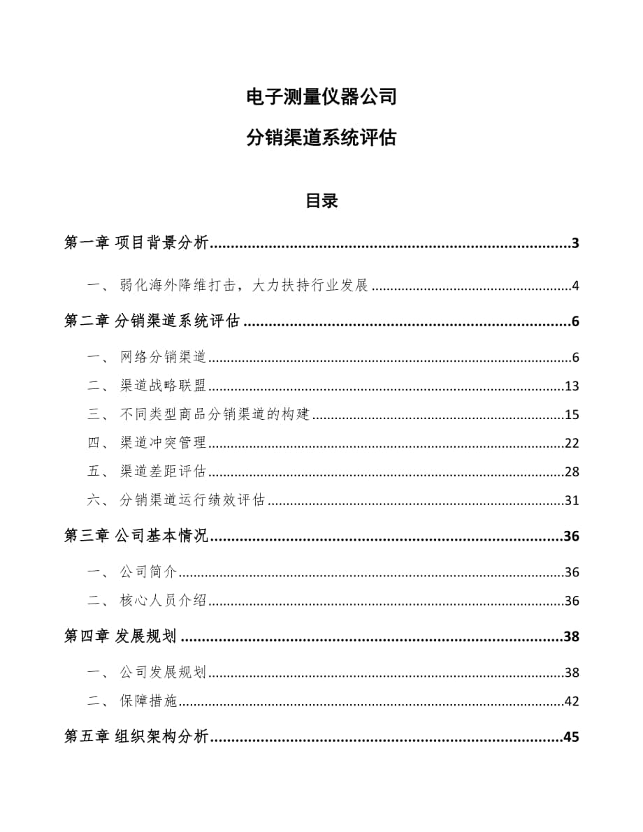 电子测量仪器公司分销渠道系统评估（范文）_第1页