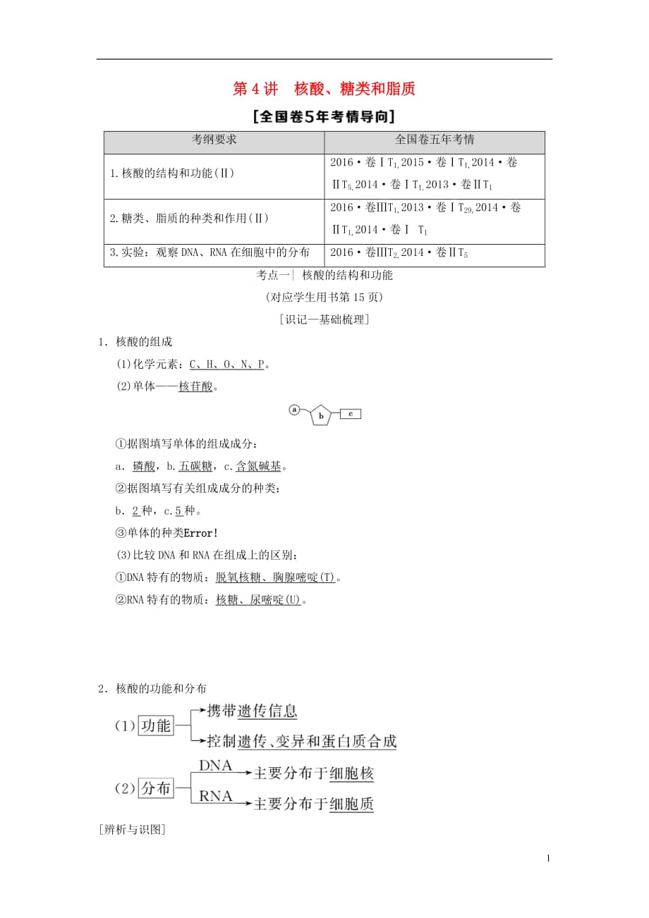 全國版版高考生物一輪復習第單元細胞及其分子組成第講核酸糖類和脂質(zhì)學案_第1頁