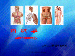 内脏学总论消化系统huang课件