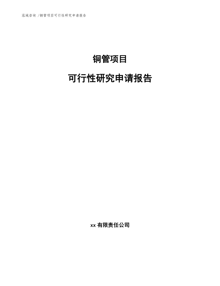 铜管项目可行性研究申请报告（范文参考）_第1页