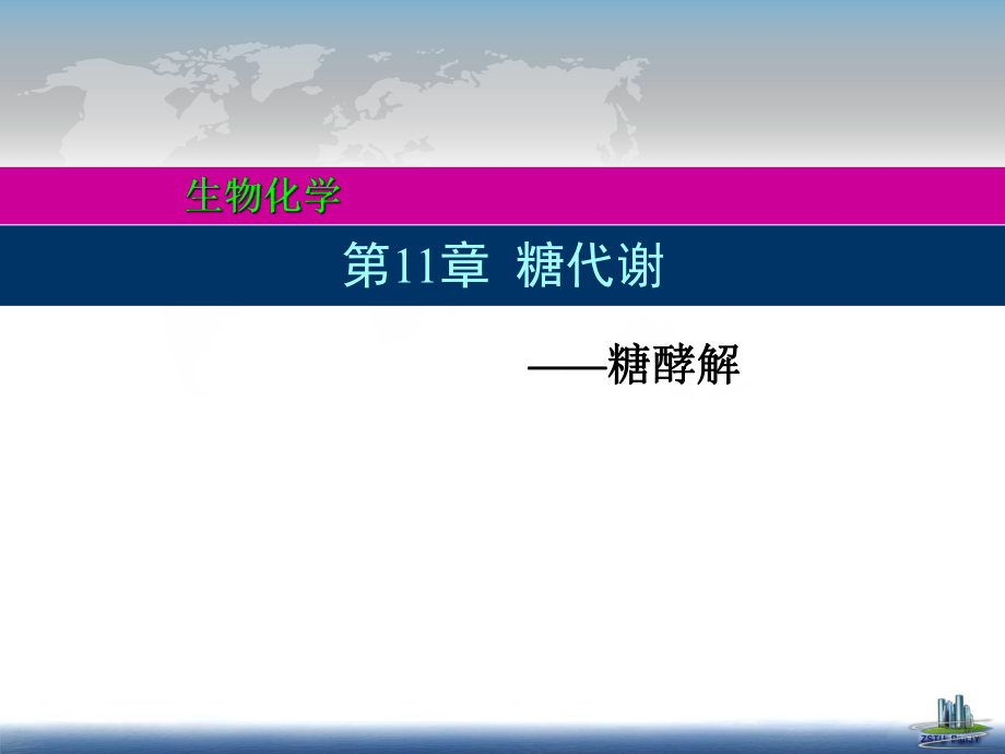 生物化學(xué)課件：11 糖酵解_第1頁