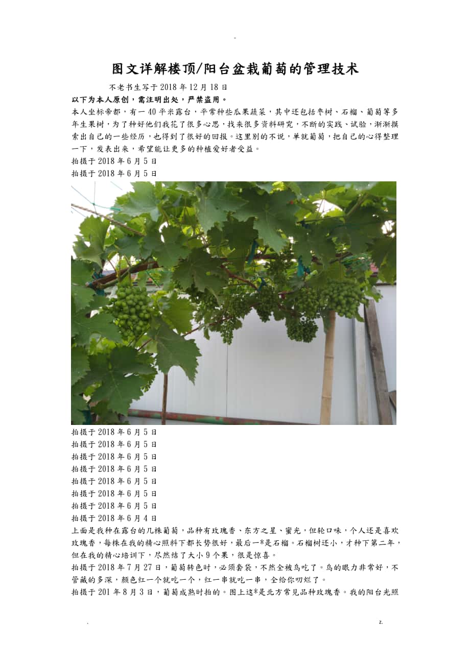 图文详解楼顶阳台盆栽葡萄的管理技术_第1页