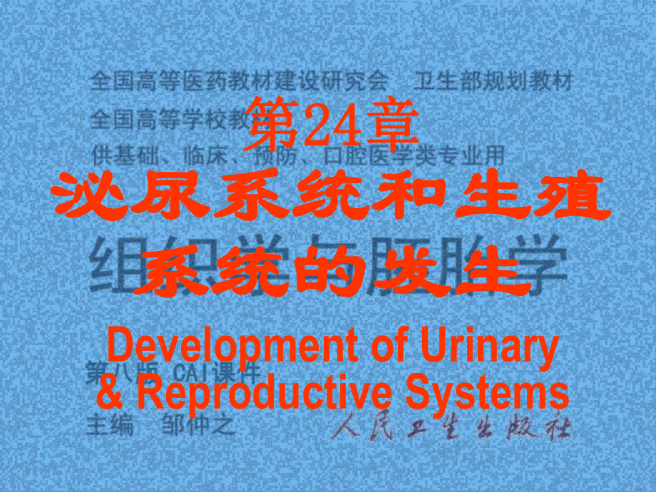 组织胚胎学-23泌尿系统与生殖系统的发生-文档资料课件_第1页