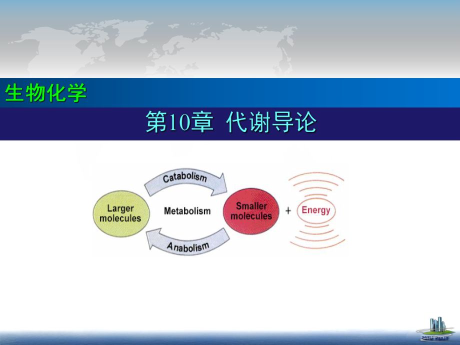 生物化學(xué)課件：11 代謝導(dǎo)論_第1頁