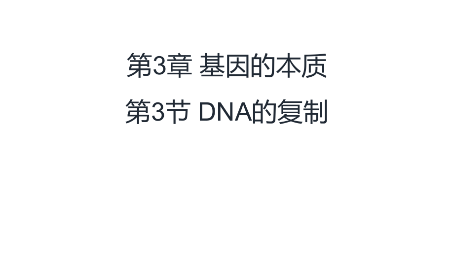 DNA分子的复制ppt课件_第1页