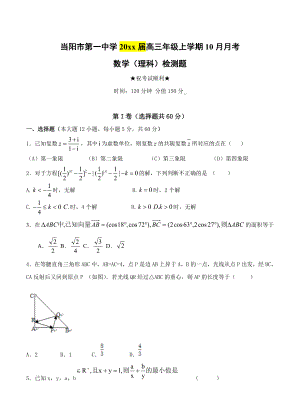 湖北省当阳市第一中学高三10月月考数学理试卷含答案