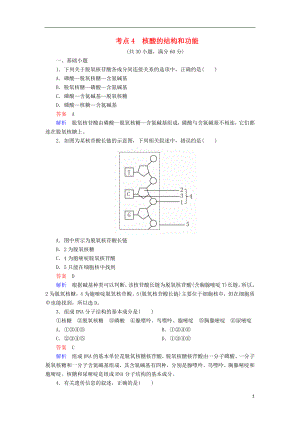 2018年高考生物 考點(diǎn)4 核酸的結(jié)構(gòu)和功能.doc