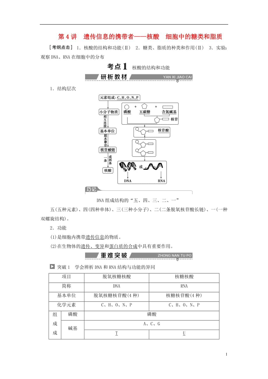 （全國）2018版高考生物大一輪復習 第一單元 細胞的分子組成 第4講 遺傳信息的攜帶者——核酸細胞中的糖類和脂質學案_第1頁