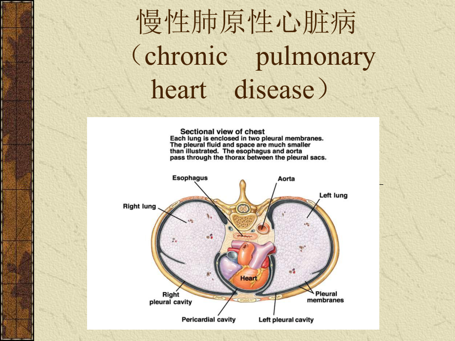 慢性肺原性心脏病PPT课件_第1页