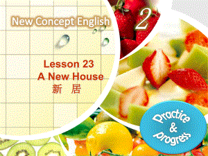 新概念英语第二册第23课ppt课件