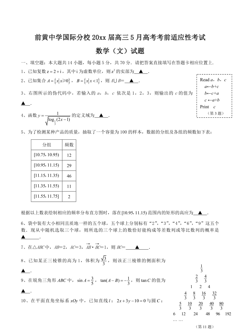 江苏省前黄中学国际分校高考5月考前适应性考试数学文试题及答案_第1页