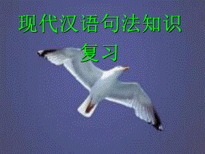现代汉语句法2