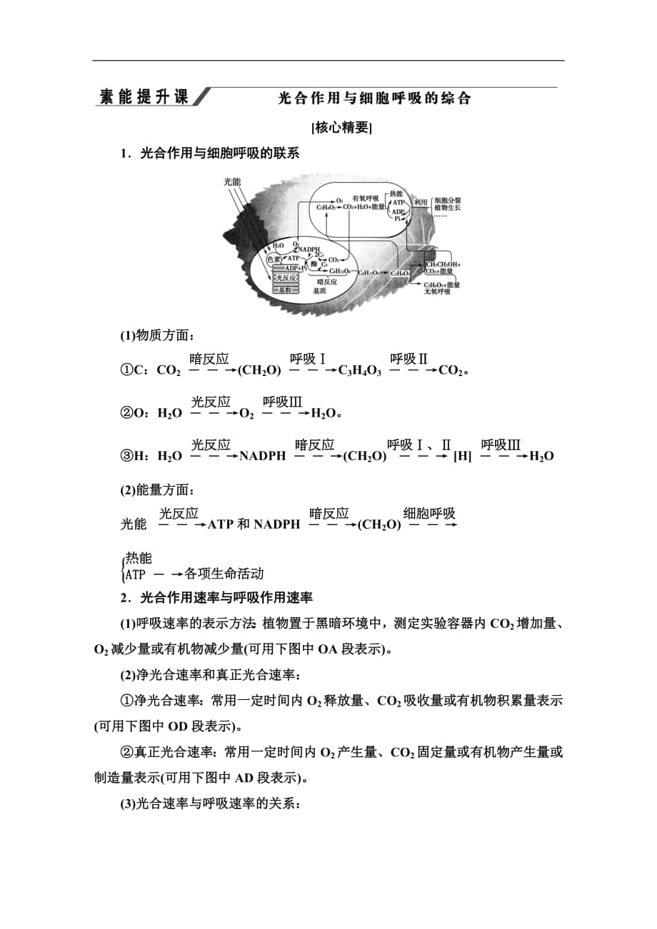 同步新教材人教生物必修一新突破講義：第5章 素能提升課 光合作用與細(xì)胞呼吸的綜合 Word版含答案_第1頁