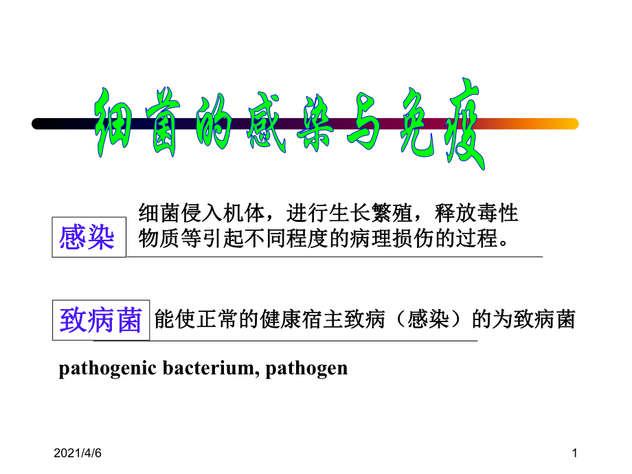 细菌感染与免疫文档资料_第1页