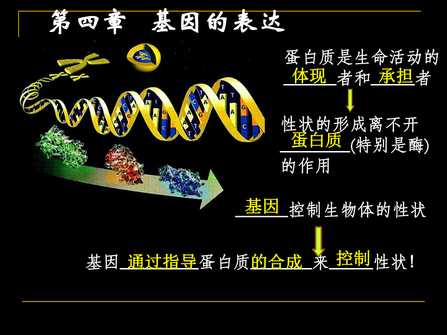 1241基因指导蛋白质的合成转录翻译动画_第1页