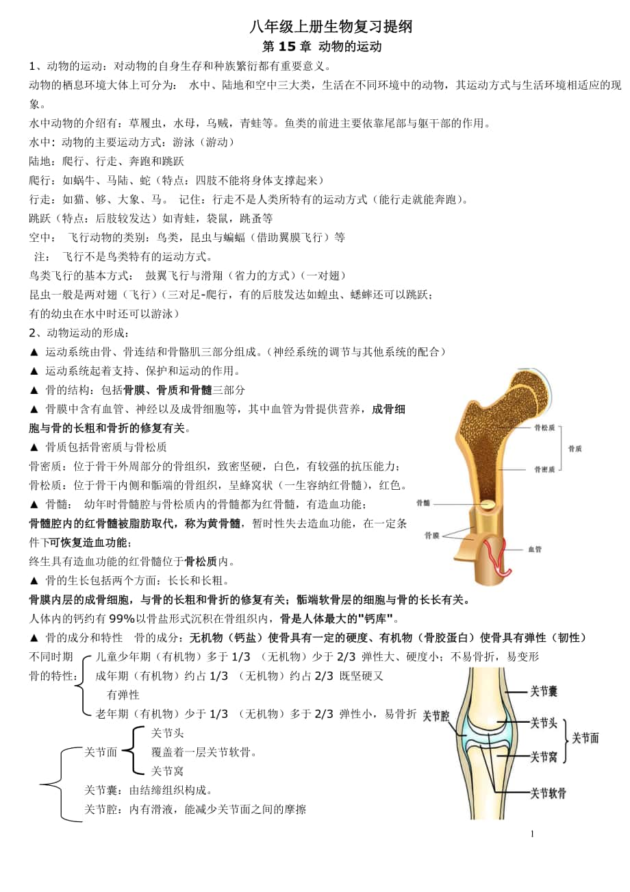 八年级上册生物期末复习提纲_第1页