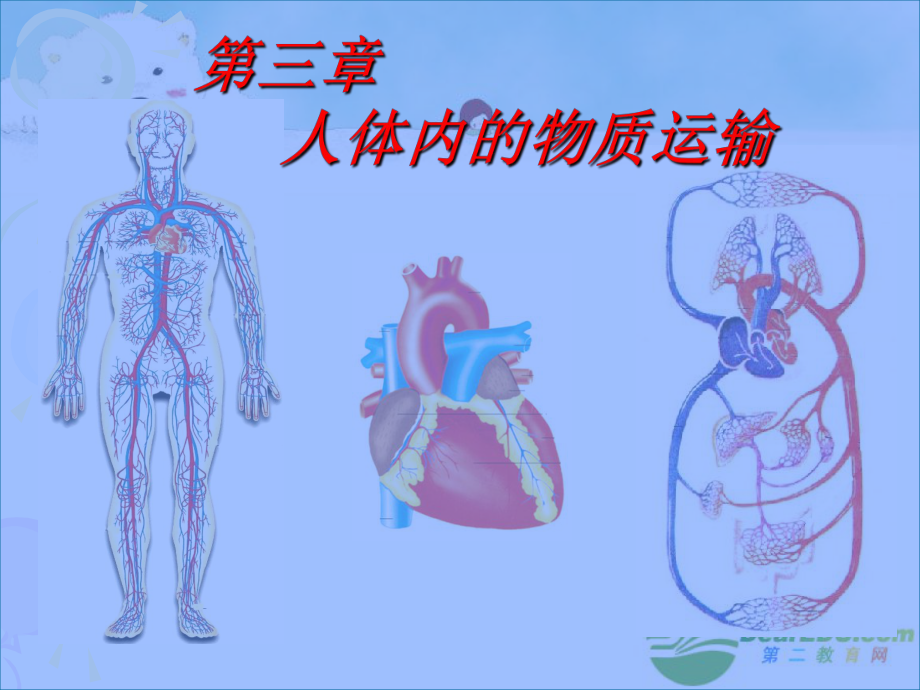 七年级生物下册第三章《人体内的物质运输》复习ppt课件_第1页