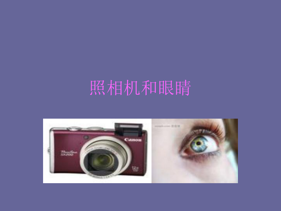 照相机和眼睛PPT课件_第1页