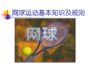 网球运动基本知识及规则ppt课件