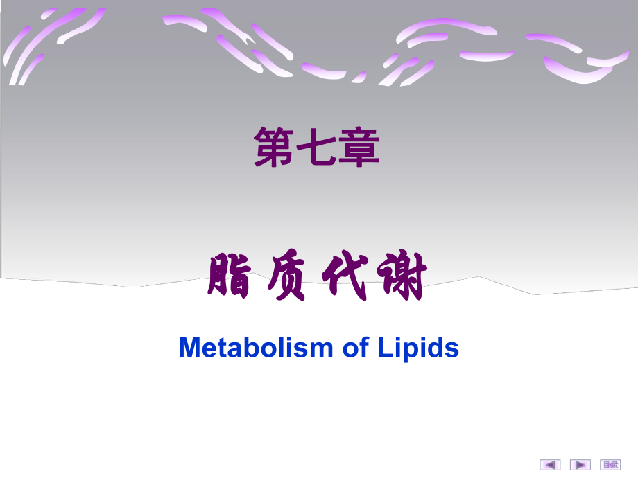 生物化学：7脂质代谢_第1页