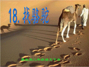 冀教版二年级语文下册五单元18找骆驼课件1