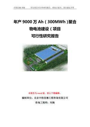 年产9000万Ah（300MWh）聚合物电池建设（项目可行性研究报告模板-立项备案